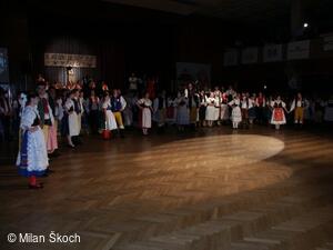 Jihočeské folklorní sdružení