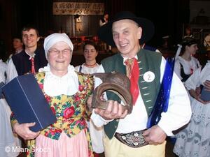 Jihočeské folklorní sdružení