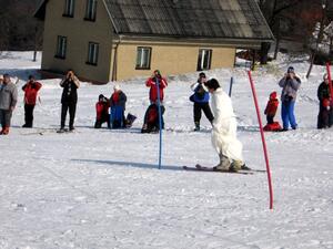 Svatba