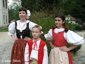 Jihočeské folklorní sdružení