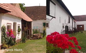 Libín - S, folklorní sdružení