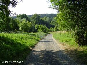 Teplice nad Bečvou - Rekonstrukce cesty - VLO