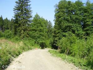Teplice nad Bečvou - Rekonstrukce cesty - VLO
