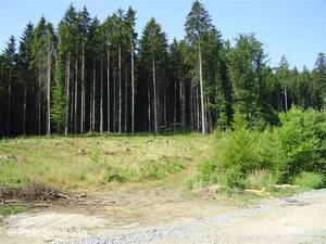 Teplice nad Bečvou - Rekonstrukce cesty - VLO