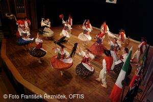 Mezinárodní folklorní festival Folklor bez hranic