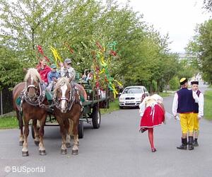 Mezinárodní folklorní festival Česká náves - Dýšina