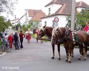 Mezinárodní folklorní festival Česká náves - Dýšina