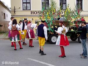 Mezinárodní folklorní festival Česká náves - Dýšina