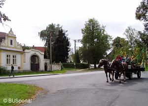 Mezinárodní folklorní festival Česká náves - Dýšina