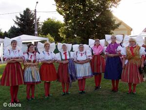 Mezinárodní folklorní festival Česká náves - Dýšina