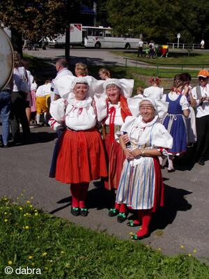 Mezinárodní folklorní festival Česká náves - Dýšina