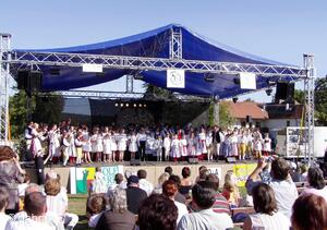Mezinárodní folklorní festival Česká náves - Dýšina