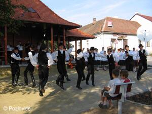 Mezinárodní folklorní festival Písní a tancem