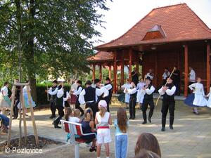 Mezinárodní folklorní festival Písní a tancem