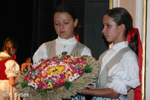 Mezinárodní folklorní festival Písní a tancem