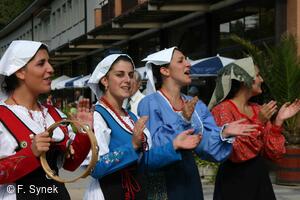 Mezinárodní folklorní festival Písní a tancem