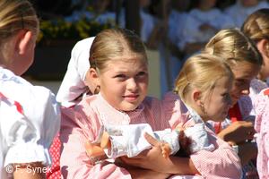 Mezinárodní folklorní festival Písní a tancem