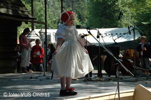 Mezinárodní armádní festival Rožnovská Valaška