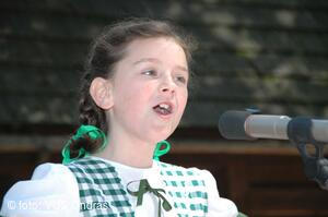 Mezinárodní armádní festival Rožnovská Valaška