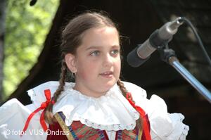 Mezinárodní armádní festival Rožnovská Valaška
