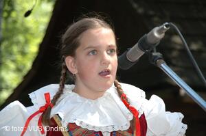 Mezinárodní armádní festival Rožnovská Valaška