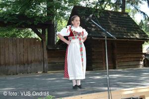 Mezinárodní armádní festival Rožnovská Valaška