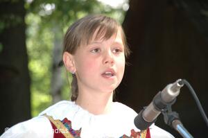 Mezinárodní armádní festival Rožnovská Valaška