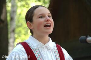 Mezinárodní armádní festival Rožnovská Valaška