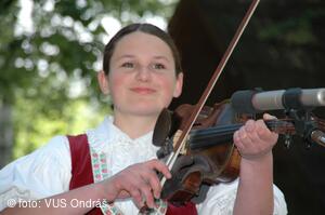 Mezinárodní armádní festival Rožnovská Valaška