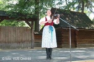 Mezinárodní armádní festival Rožnovská Valaška
