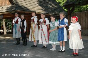 Mezinárodní armádní festival Rožnovská Valaška