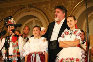 Folklorní sdružení ČR