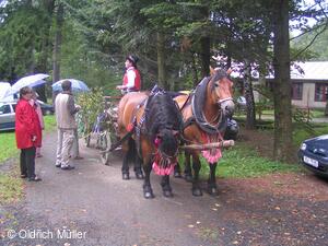Mezinárodní folklorní festival Liptálské slavnosti