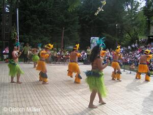 Mezinárodní folklorní festival Liptálské slavnosti
