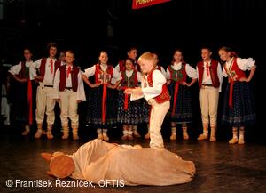 Mezinárodní folklorní festival Folklor bez hranic