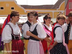 Libín - S, folklorní sdružení