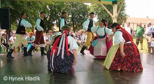 Libín - S, folklorní sdružení