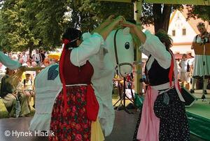 Libín - S, folklorní sdružení