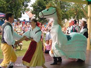 Libín - S, folklorní sdružení