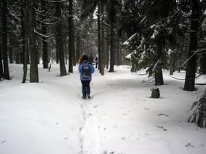 Hodslavice