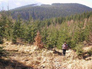 Hodslavice