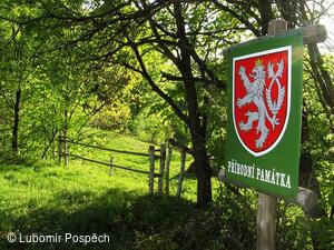 Průvodce a fotograf krajiny Bílých Karpat
