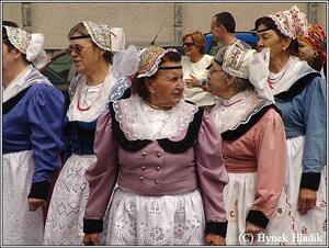 Libín - S, folklorní sdružení