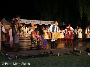 Jihočeský folklorní festival