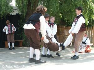 Jihočeský folklorní festival