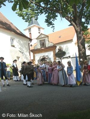 Jihočeské folklorní sdružení