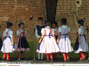 Folklorní festival Polabská Vonička