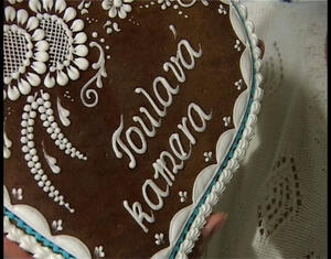 Toulavá kamera