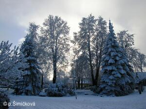 zima