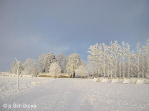 zima